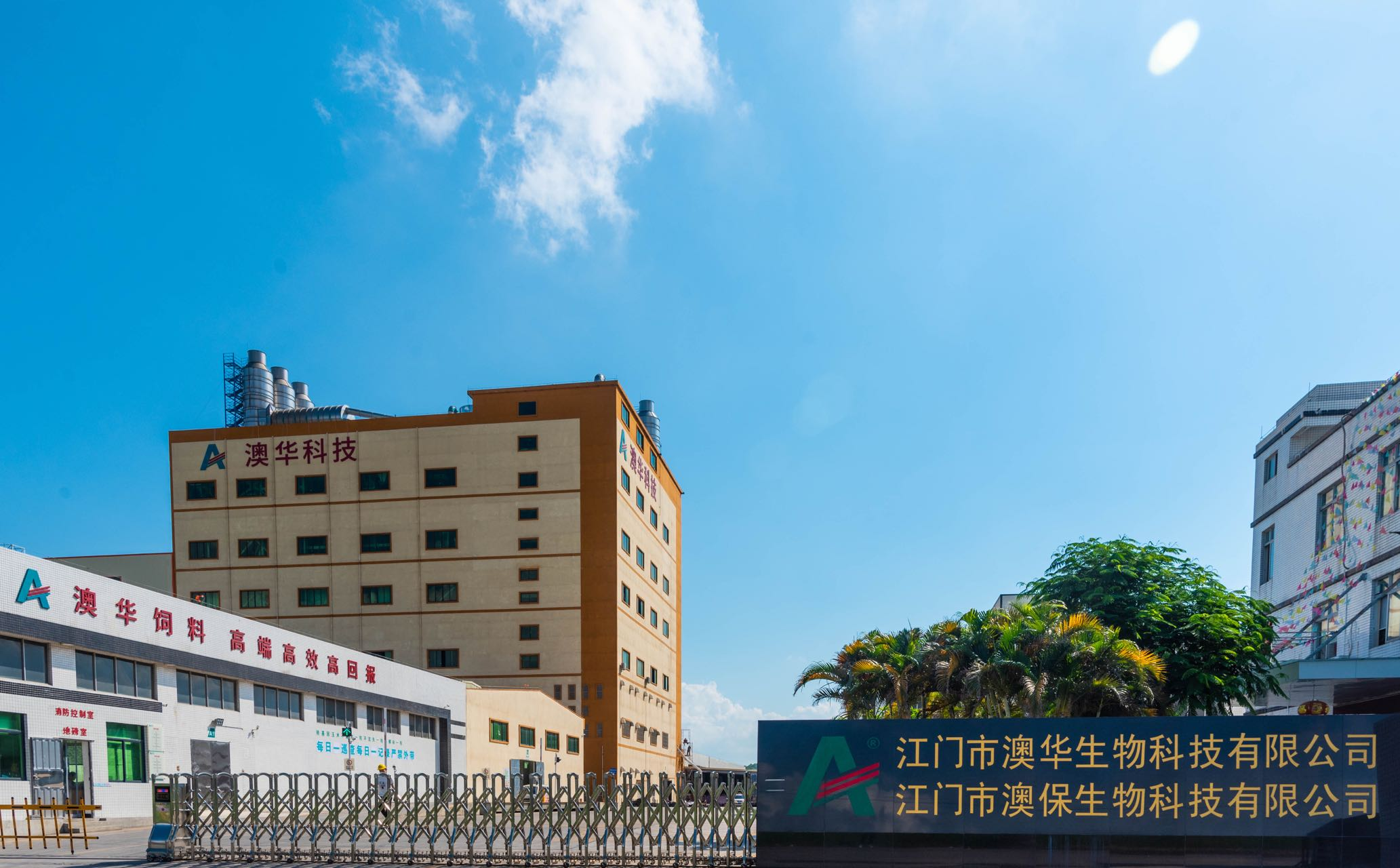 图片3