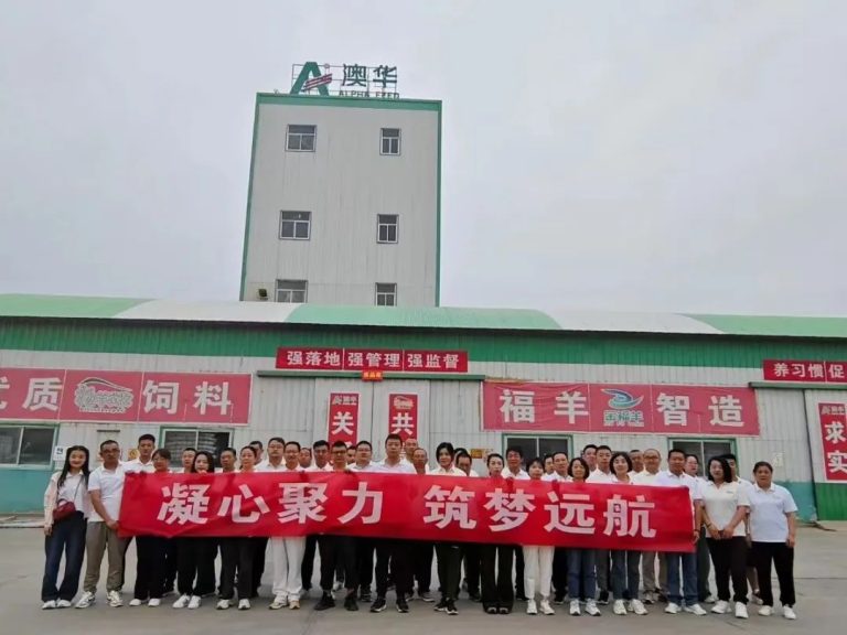 【澳华风采】技术赋能、服务先行——甘肃澳华福羊稳筑增长新高地