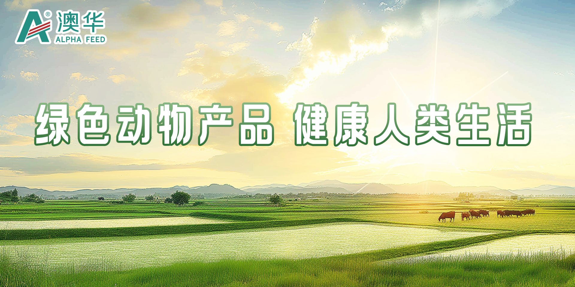 首图3(1)