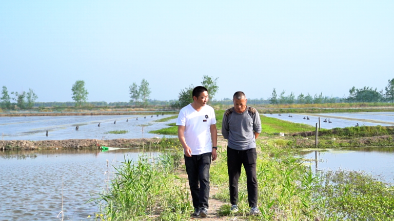 荒湖变金塘，澳华与湖北养虾人的致富路 | 成就养殖梦想·助力乡村振兴
